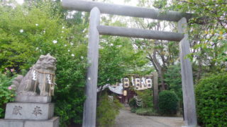 大阪堀越神社 鳥居と狛犬