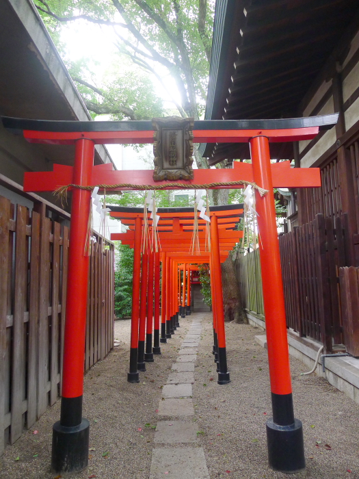 堀越神社 摂社 茶臼山稲荷