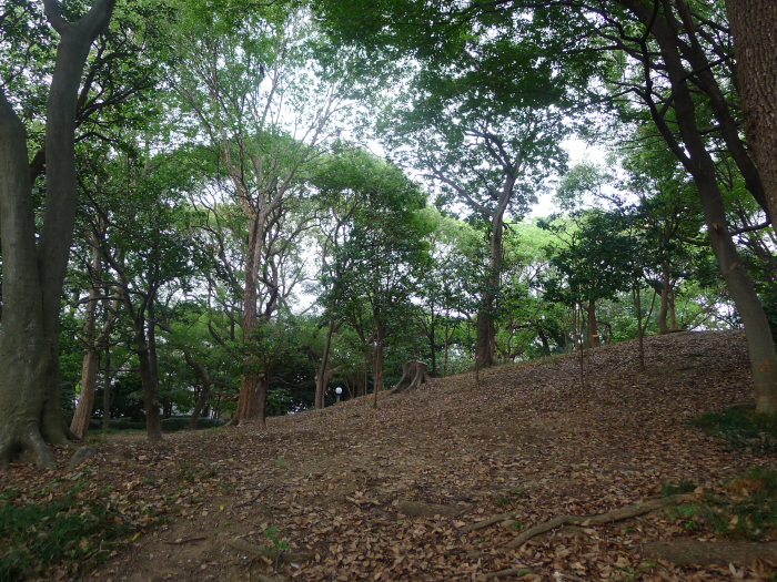 現在の茶臼山の風景