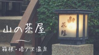 箱根塔ノ沢温泉 山の茶屋