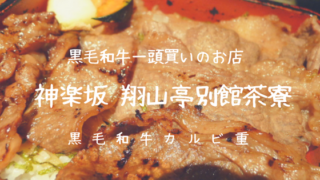 神楽坂翔山亭別館茶寮