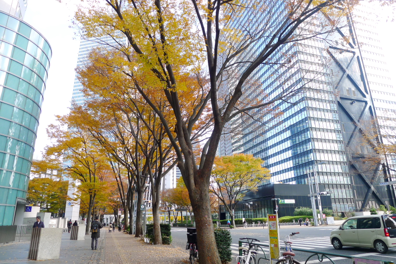 西新宿 オフィス街