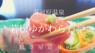 若松ゆがわら石亭_夕食