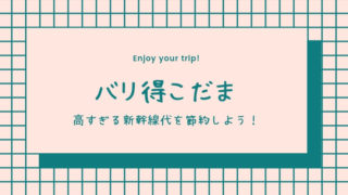 バリ得こだま