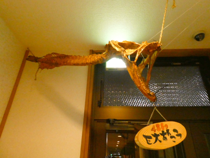 あんこうの宿まるみつ旅館に飾られたあんこうの骨