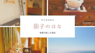 茄子のはな①