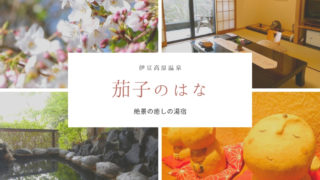 茄子のはな②