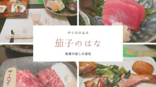 茄子のはな③