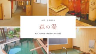 赤湯温泉・森の湯