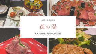 赤湯温泉・森の湯