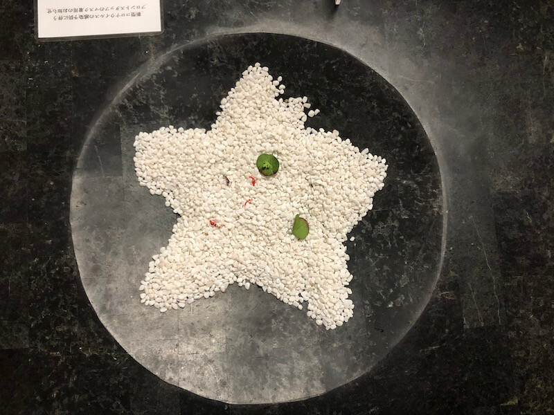 湯河原温泉　オーベルジュ湯楽