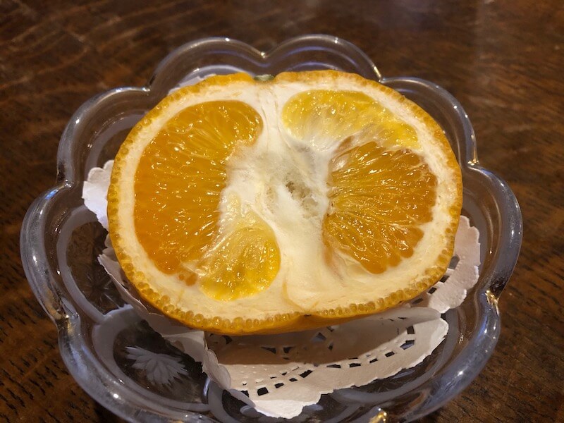 伊豆高原温泉_かえで庵 - 夕食