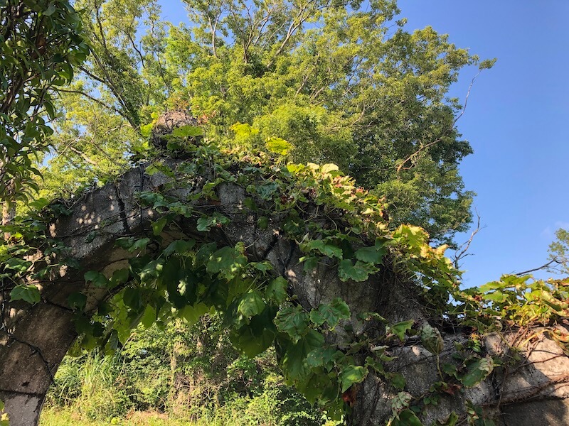 伊豆高原温泉_かえで庵 