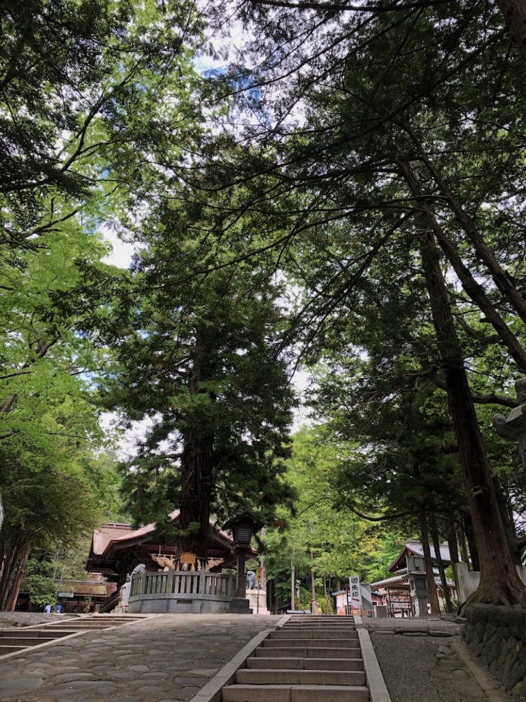 下諏訪_諏訪大社下社秋宮