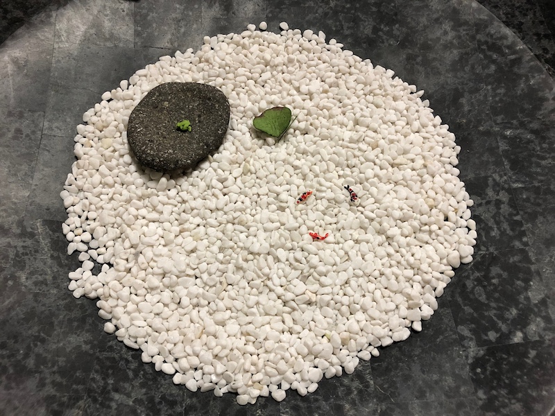 湯河原温泉_オーベルジュ湯楽