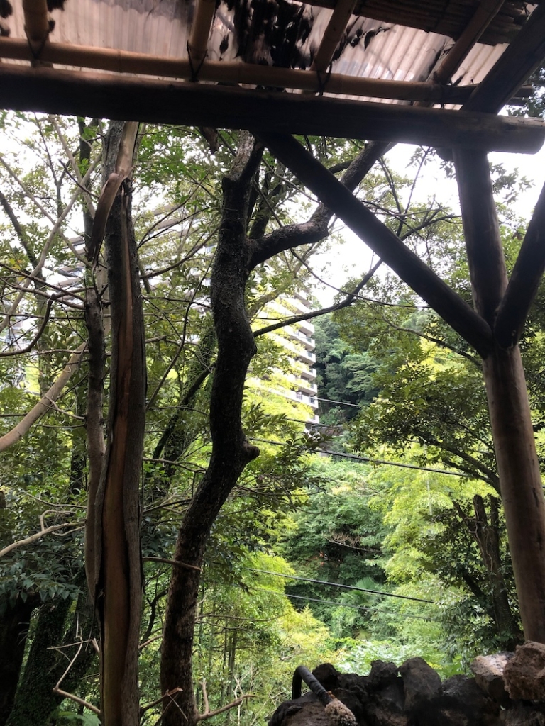 花長園_湯河原温泉